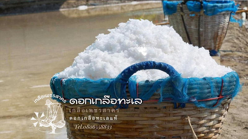 ขายส่งดอกเกลือทะเลแท้ ขายยกกระสอบราคาถูก ขายส่งดอกเกลือทะเลแท้ ขายยกกระสอบราคาถูก