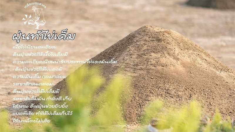 ขายส่งฝุ่นทำไข่เค็มราคาถูก ขายส่งฝุ่นทำไข่เค็มราคาถูก